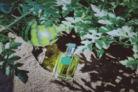 Lorenzo Villoresi Yerbamate: Banana Powder, Jasmine Green Tea, Baby Talc